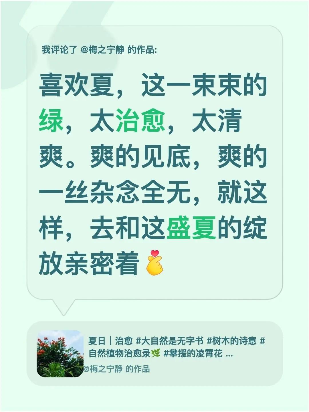 夏｜爽爽的绿。我评论了@梅之宁静 的作品：喜欢夏，这一束束的绿，太治愈，太清爽。