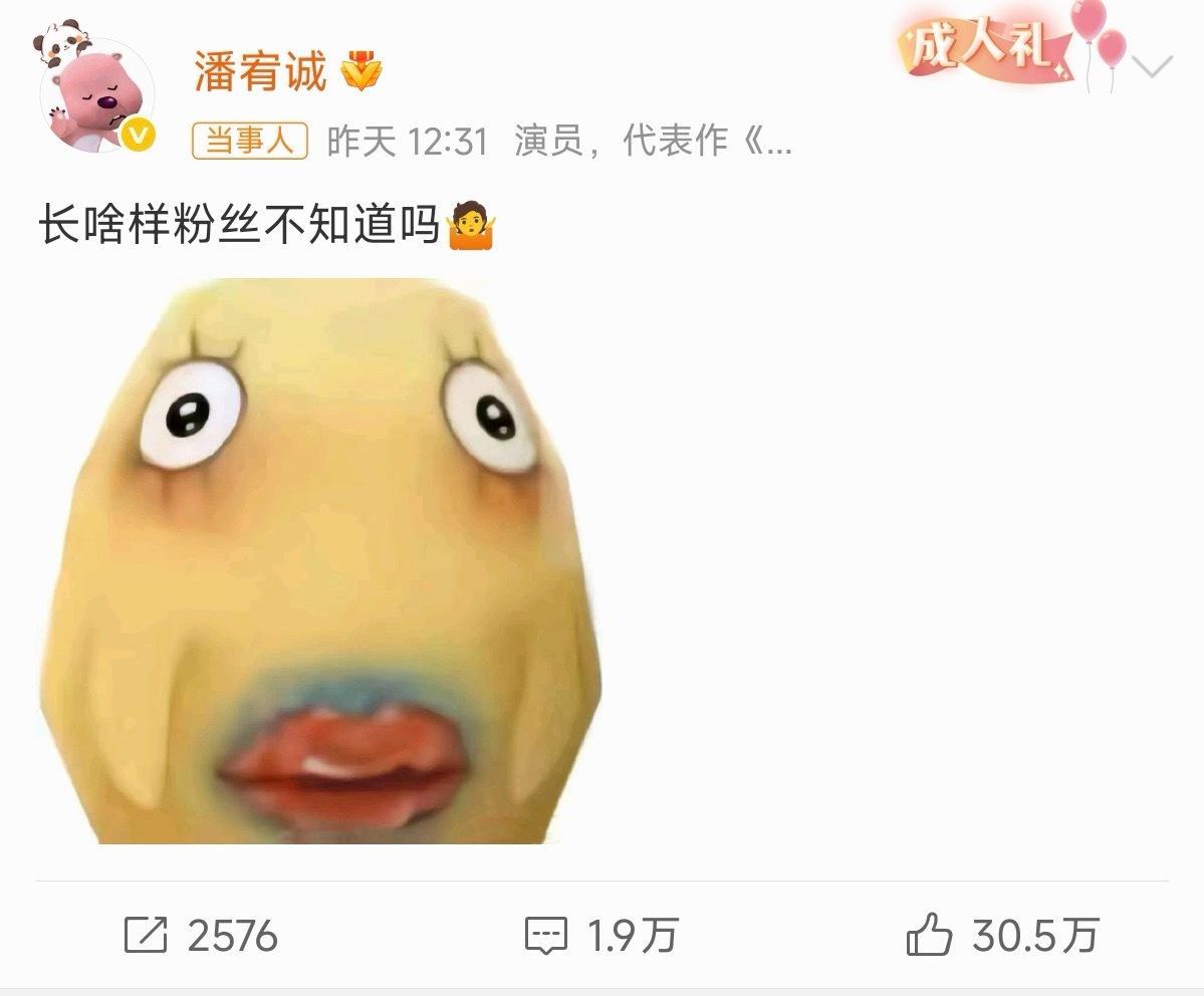 内鱼be美学巅峰之作… 