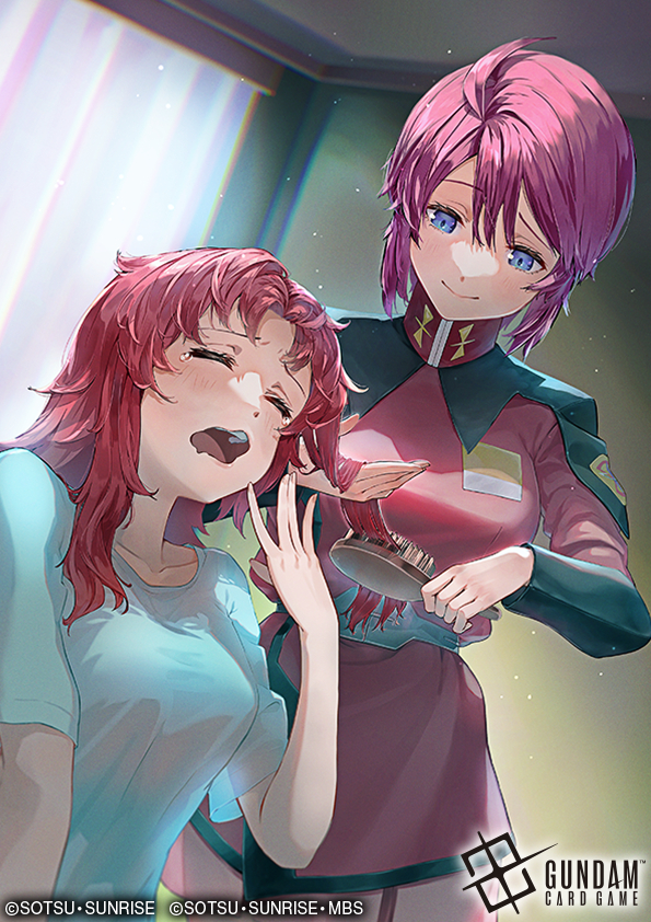 霍克姊妹（viaにしやま）高达