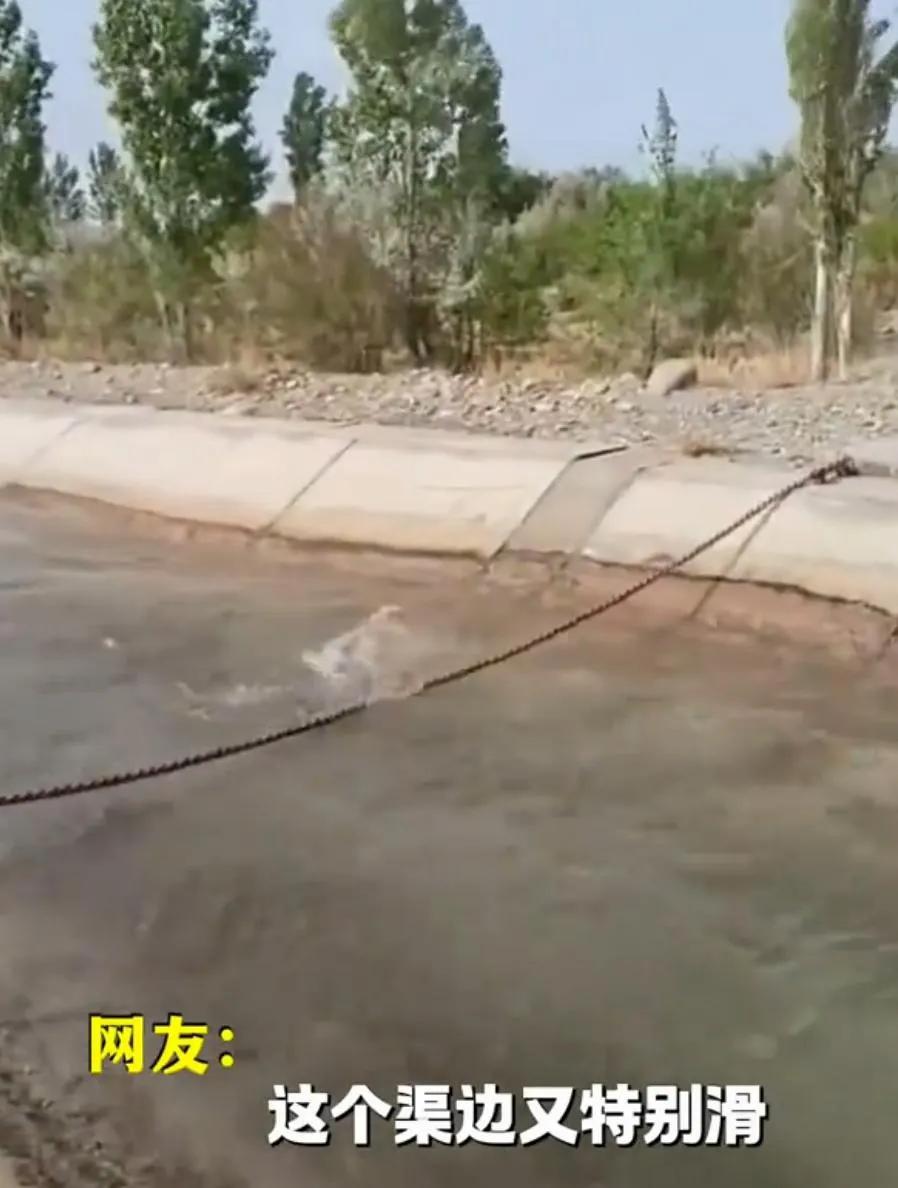 光滑水渠人掉下去就没了，新疆救命绳救了多少人？
 水渠壁滑水流急，落水后几乎无力