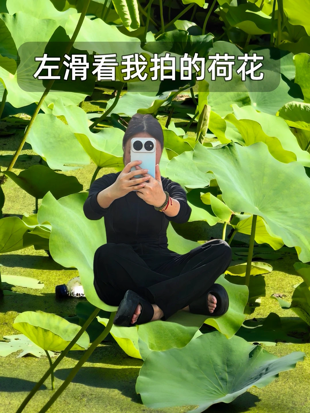 拍荷花🪷｜长焦的权威我后知后觉👍🏻