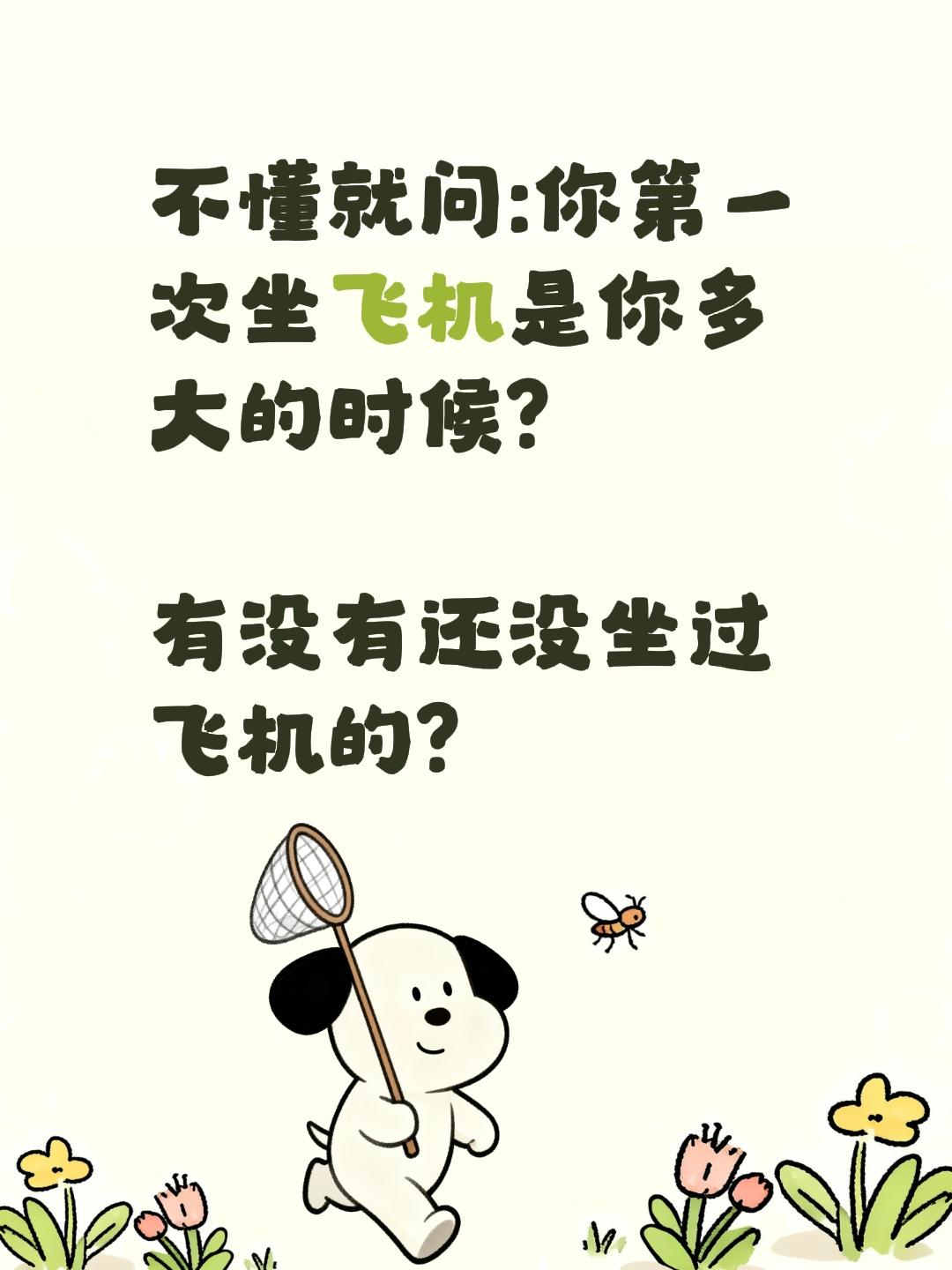 还有没坐过飞机的吗？不懂就问:你第一次坐飞机是你多大的时候?

有没有还没坐过飞