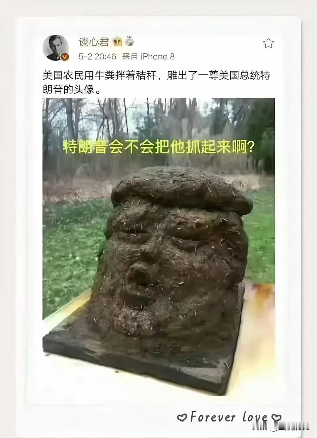 什么叫艺术源于生活？我感觉这就是，甚至我认为美国的农民更具有艺术感，这堆牛粪值钱