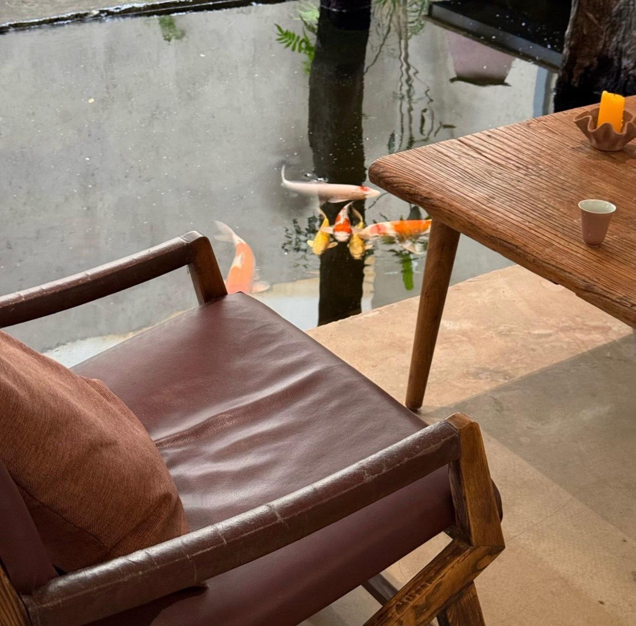 品茶赏器交友  在茶香里，我们学会与自己和解，与生活和解。每一口茶汤，都是对自己