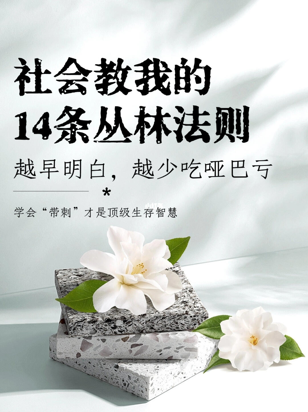 🔥社会教我的14条丛林法则：越早明白越好