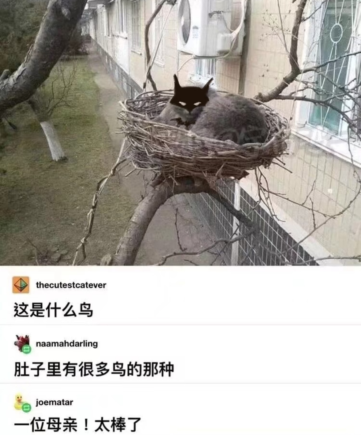 机构 