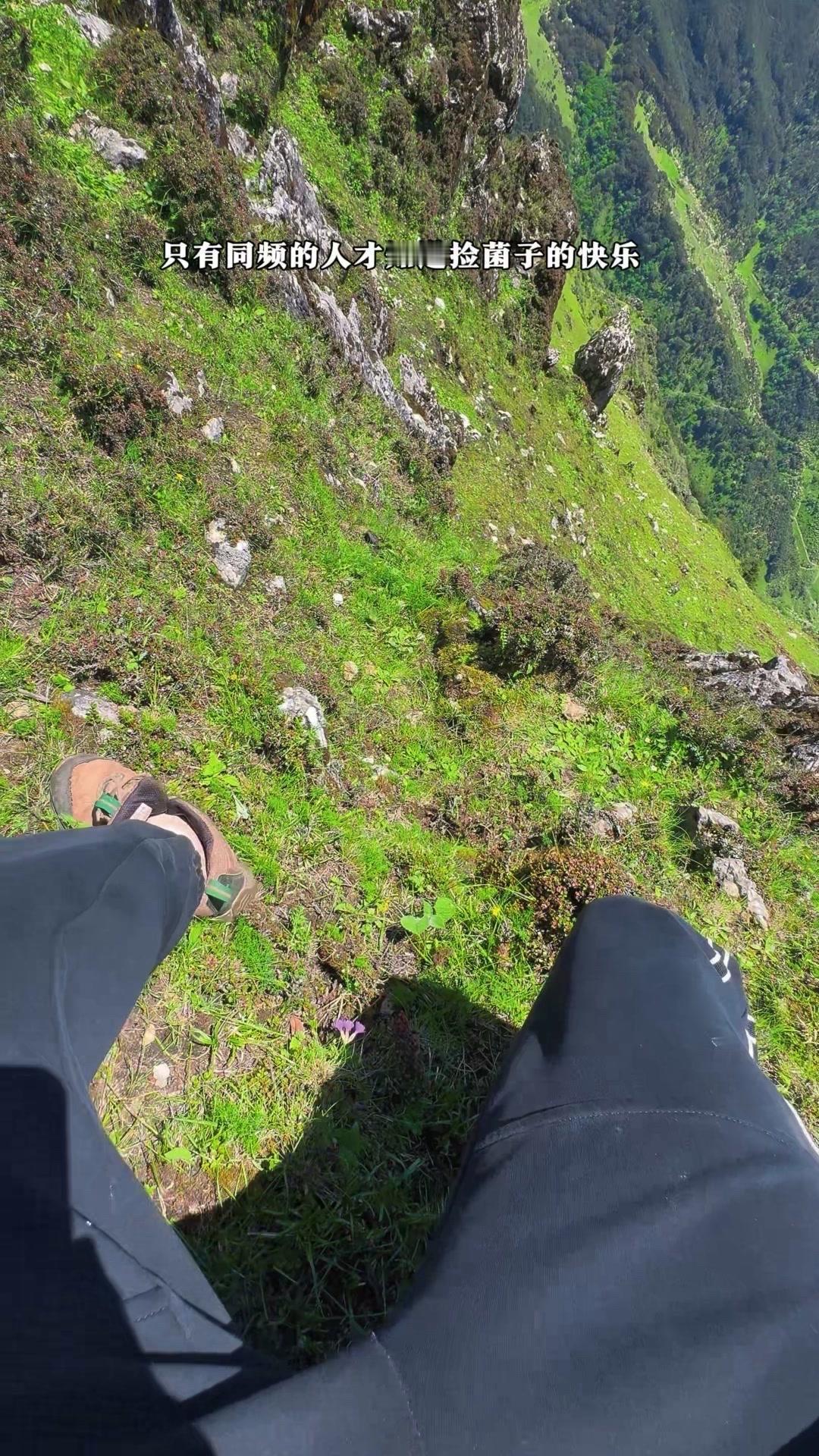 🍄只有同频的人，才会懂在山林里蹲到野生菌的狂喜！那种拨开草丛发现惊喜的瞬间，比