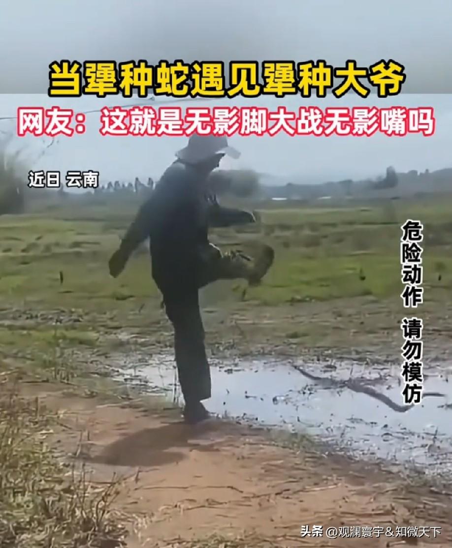 两个犟种[捂脸]
大爷把蛇当足球反复踢
蛇也是犟，被踢飞，还跑回来报复[捂脸]