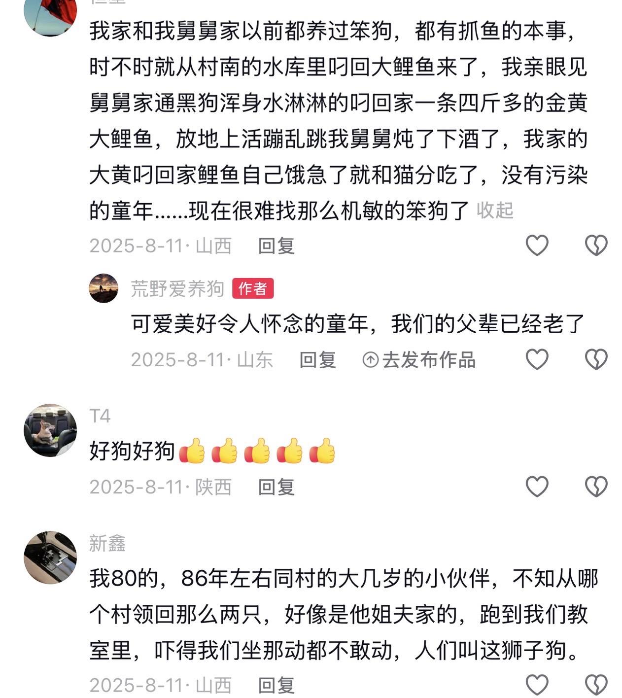 有的南方土狗能捕蛇，要比捕猎的话，是不是南方土狗更厉害，对吧？中华田园犬