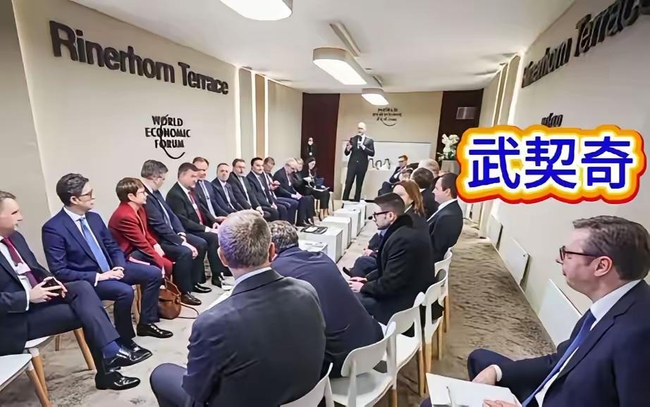 武契奇怎么这么可怜，世界经济论坛，旁听来了？