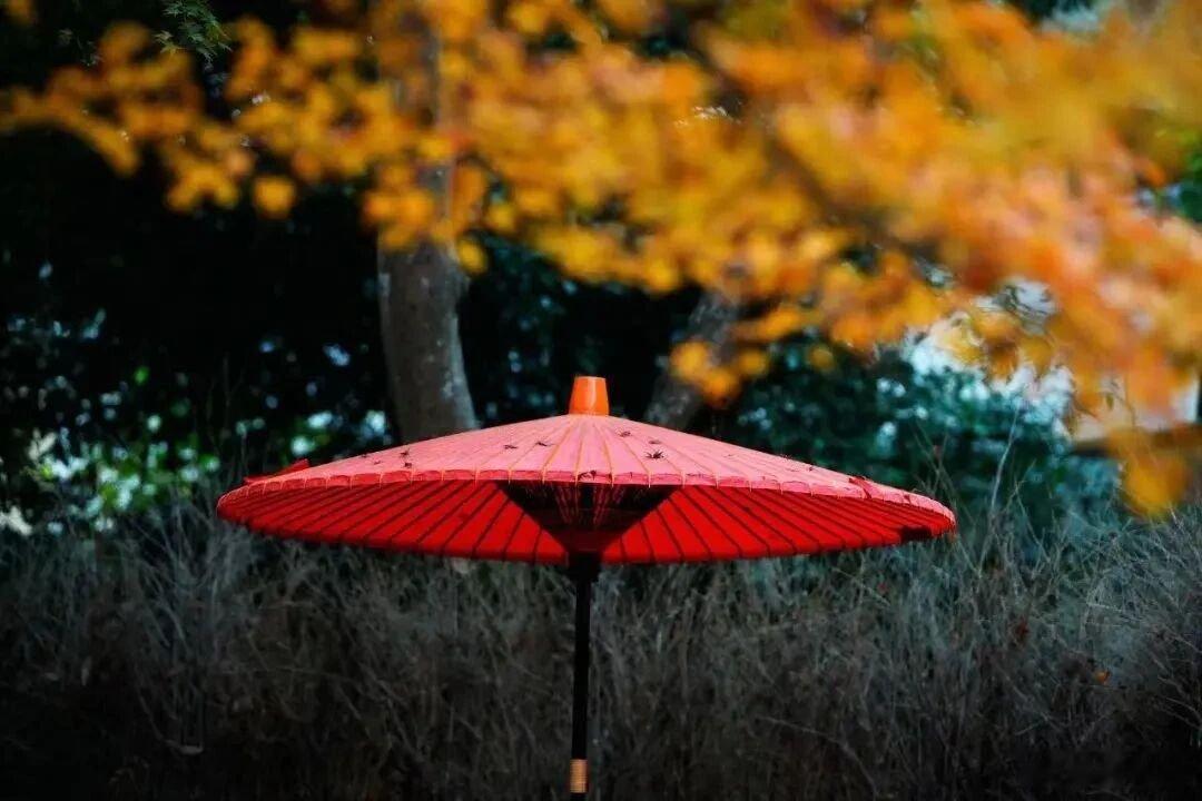 晚安晚安心语 识人，不是靠眼，而是靠心。当你和陌生的人初次打交道的时候，你一定会