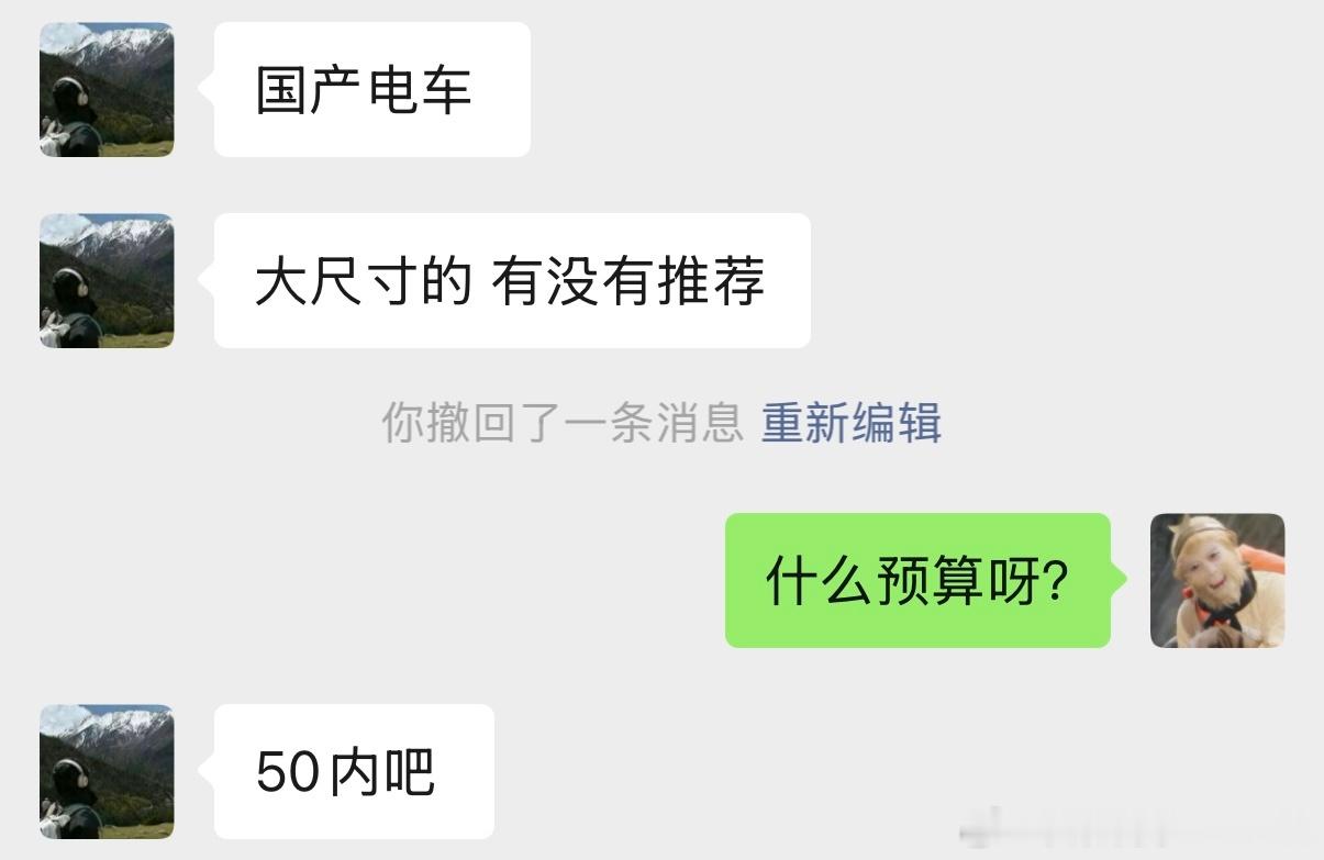 老板，求推荐国产新能源大尺寸SUV