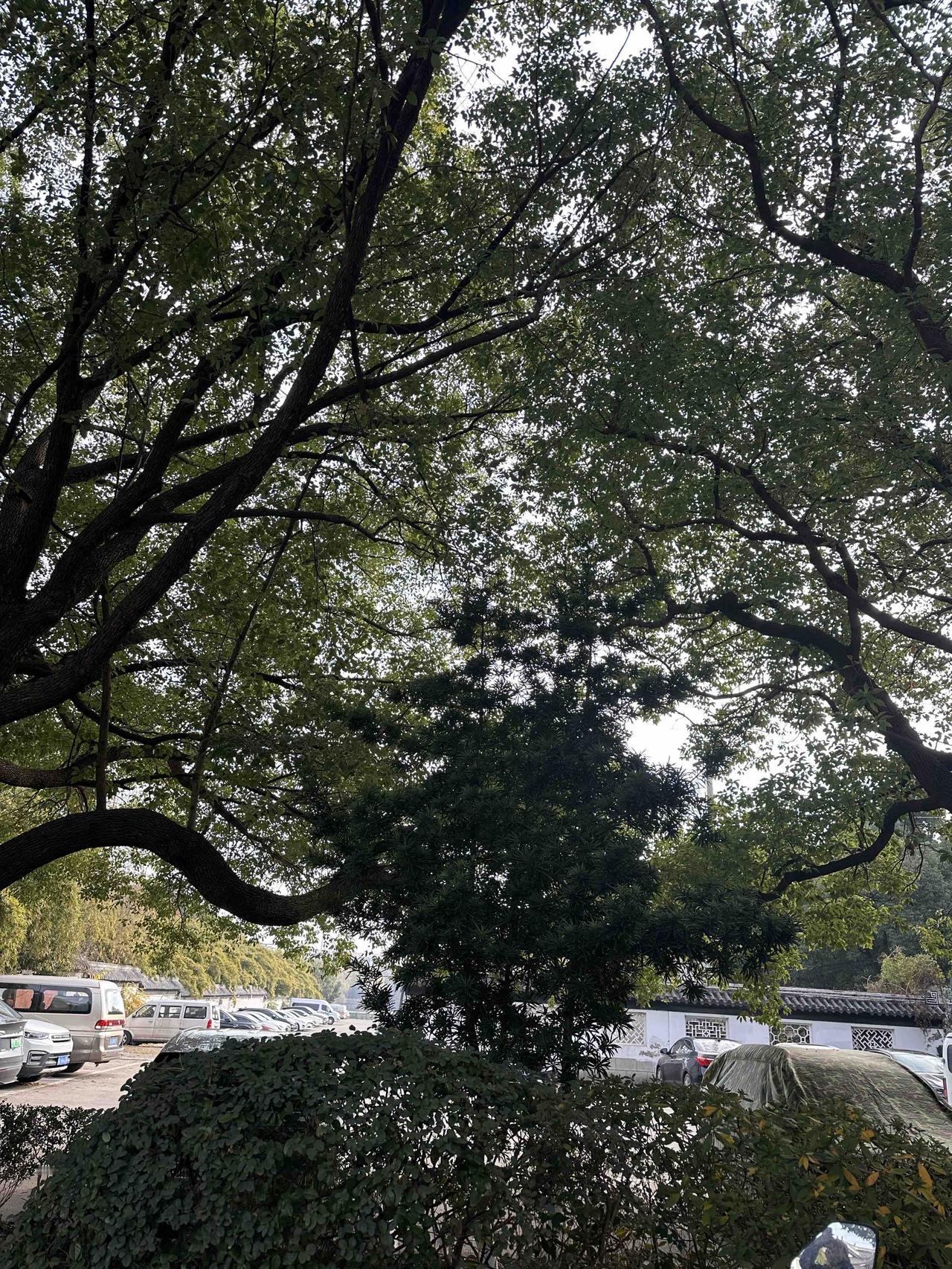 看到“上上下下上下一致”这个上联，感觉特别妙。“上上下下”描绘出一种起伏变化，而