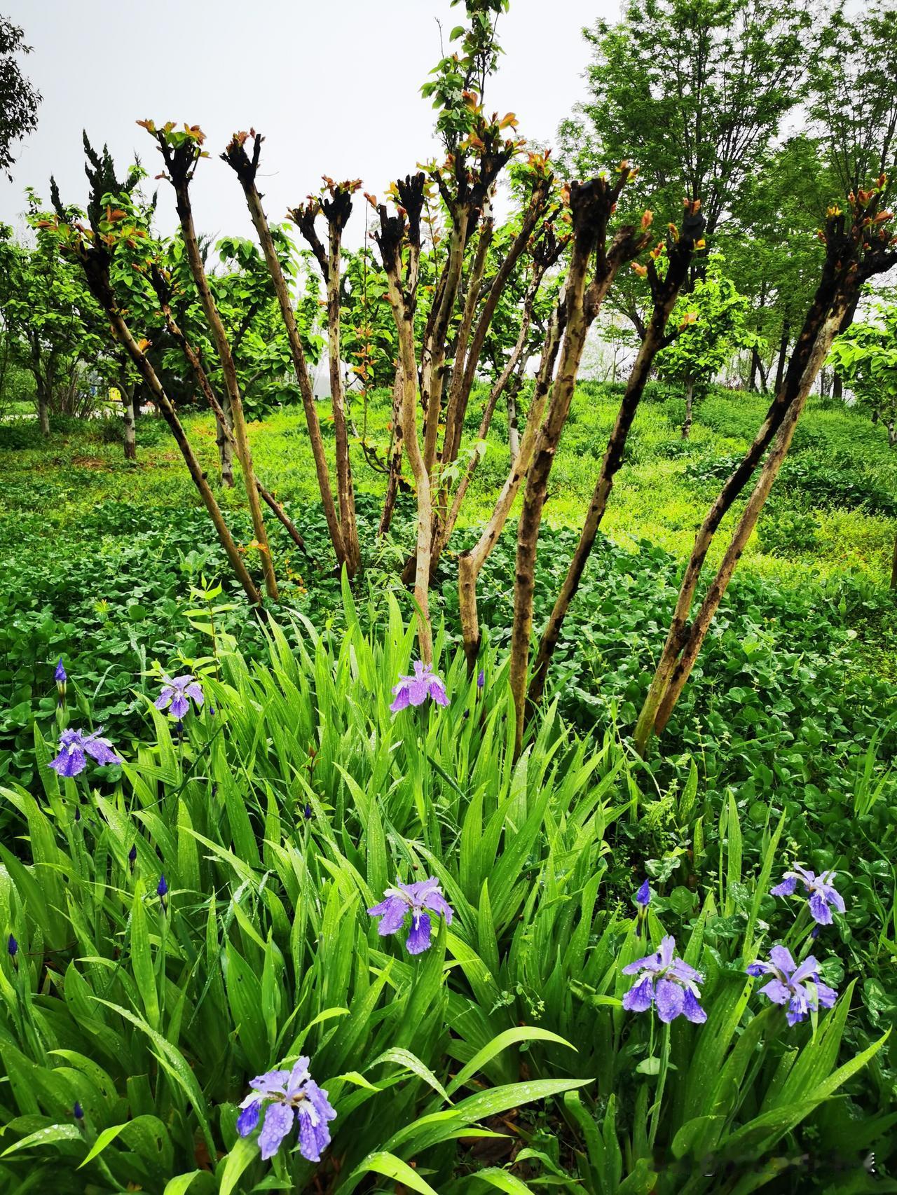 人这一生，
活得精彩，只须抓住三个字——
“信”与“恕”与“度。

信，是立身之