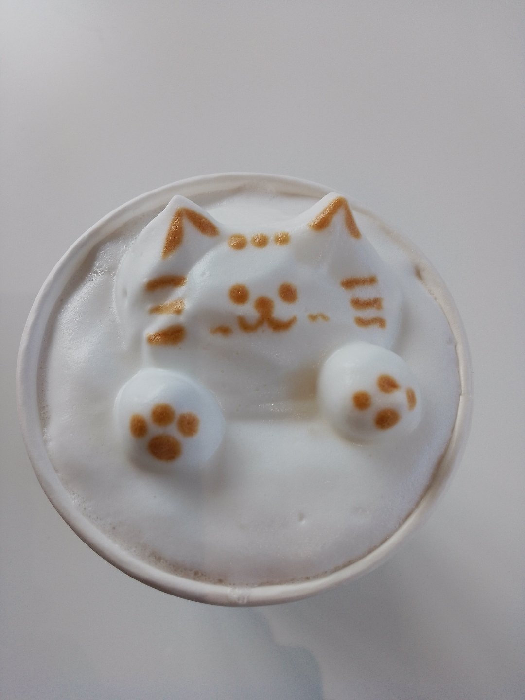 一只小泷包_拾柒  今天是可爱的小猫拿铁 