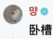 我不行了 太可爱了哈哈哈哈哈好地道的中文 