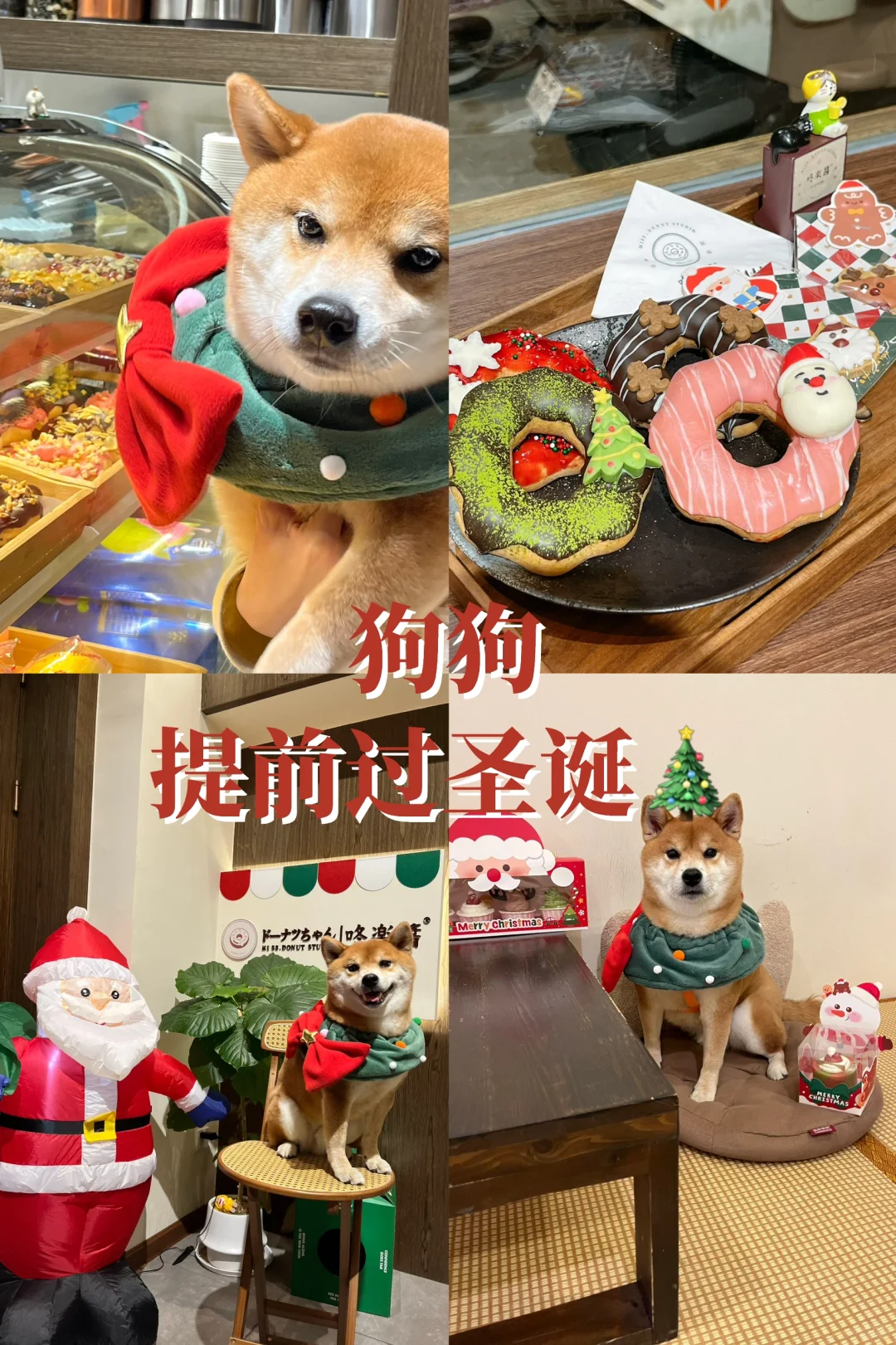 是谁先提前过圣诞呀？？！！🐶