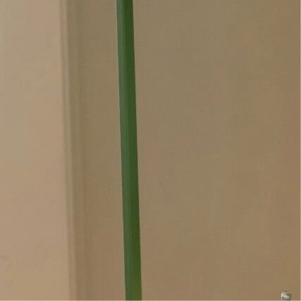 生活手记  冗长的夏季 我决定重新爱上阳光 