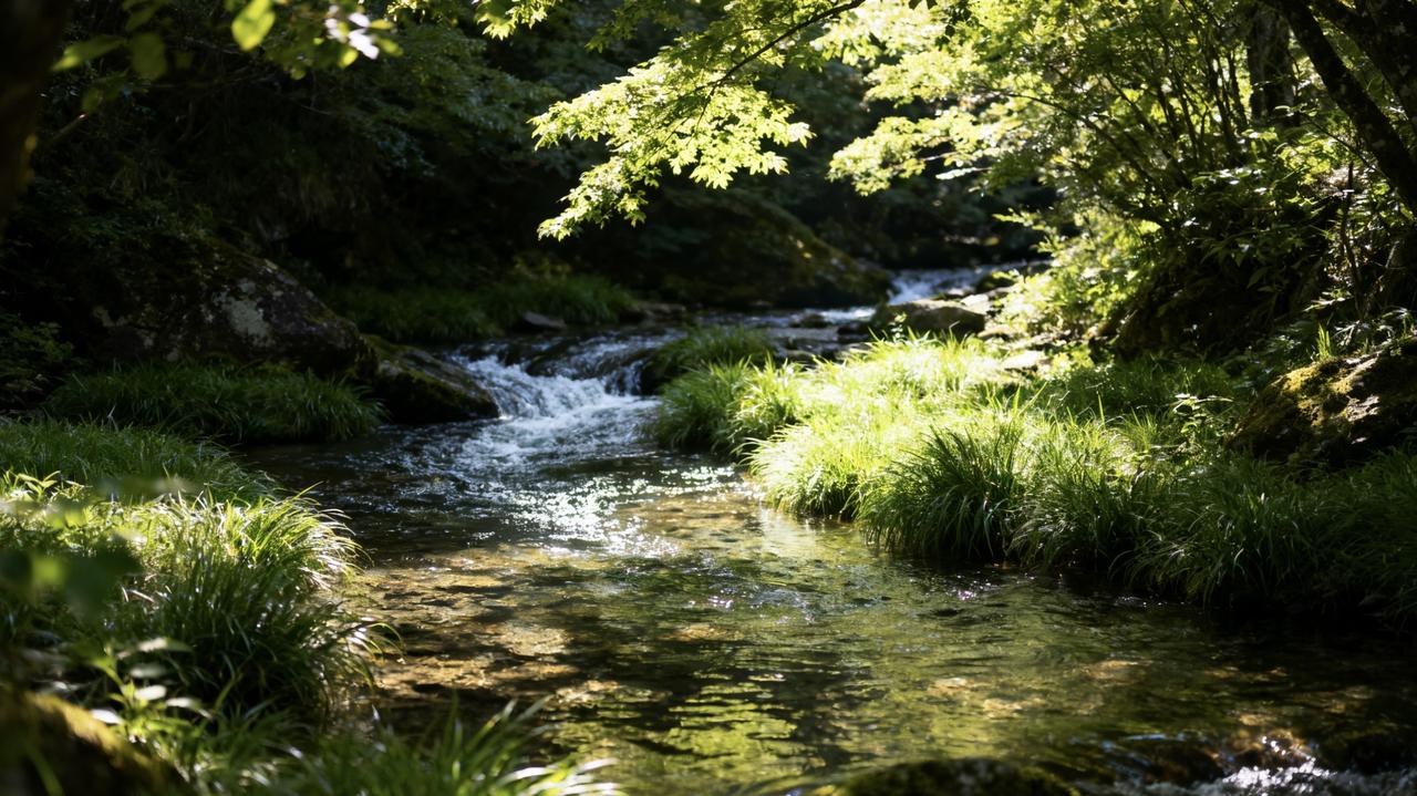 “生活本身不苦，苦的是想要的太多；心里本不累，累的是放不下的执念。”

    