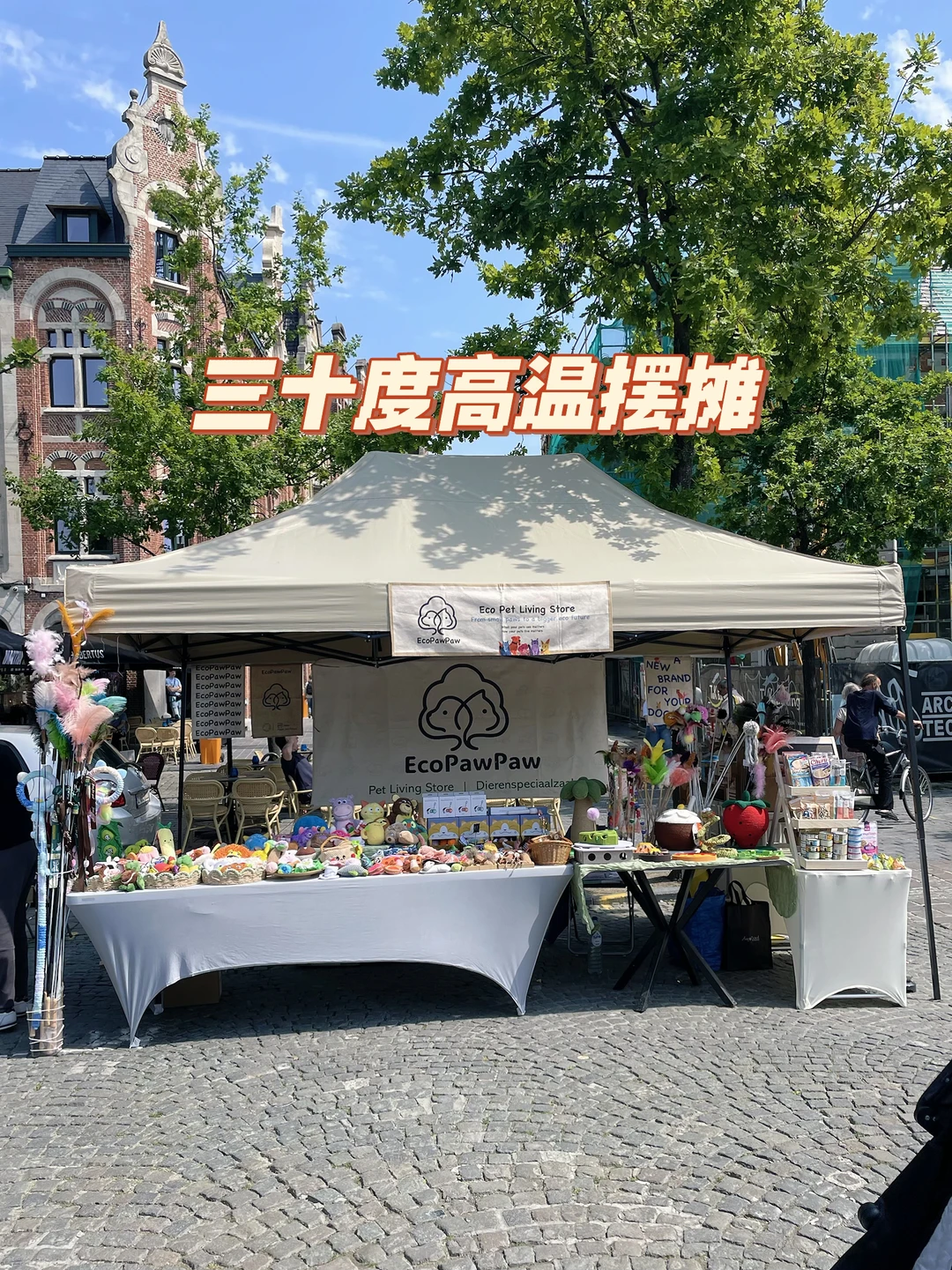 EcoPawPaw周六集市｜超高温天气坚持出摊