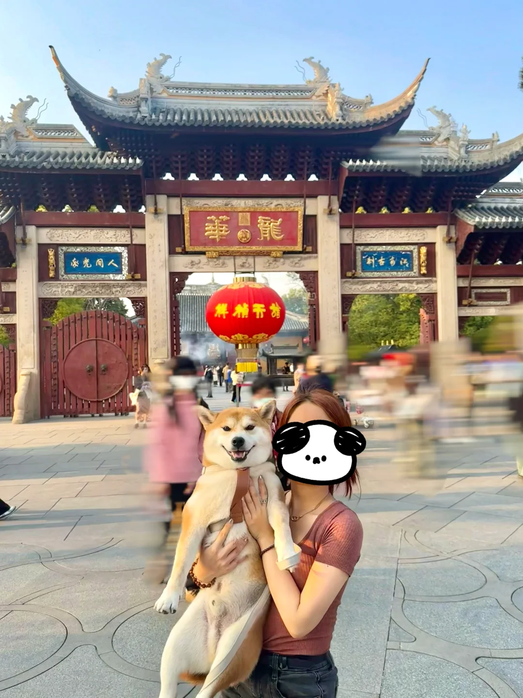不愧是大上海！寺庙居然比公园还宠物友好！