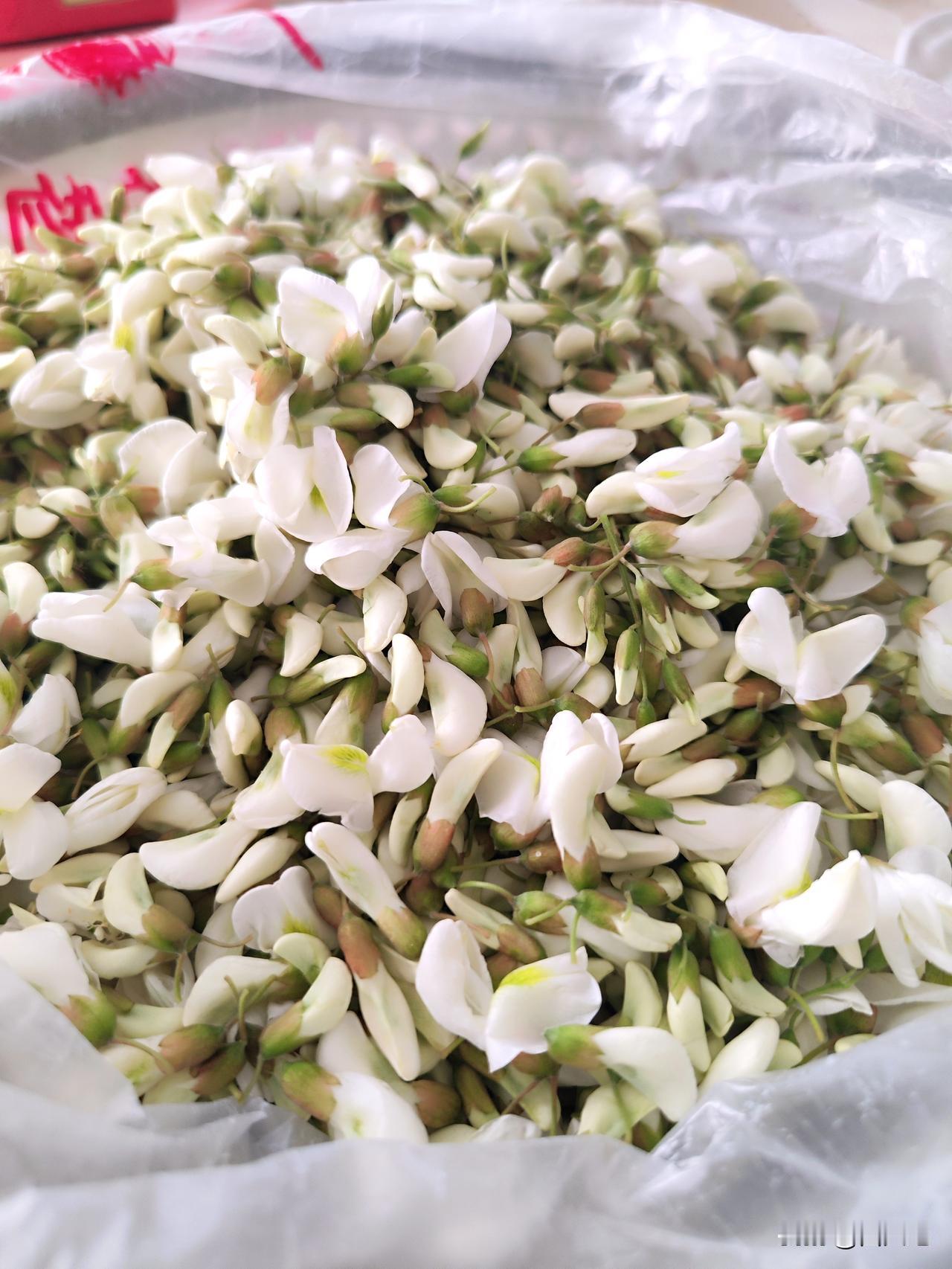 北方地区正是吃洋槐花季节，小区洋槐花盛开，有白色花朵，还有紫色花朵。

白色槐花