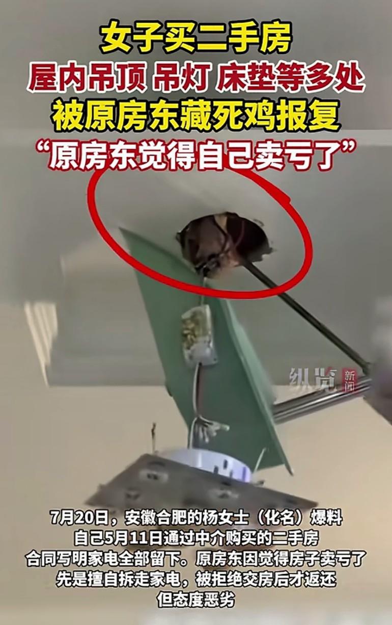 安徽合肥，女子通过中介买了套二手房，可拿到钥匙进屋后却发现满屋恶臭和藏在房屋各个