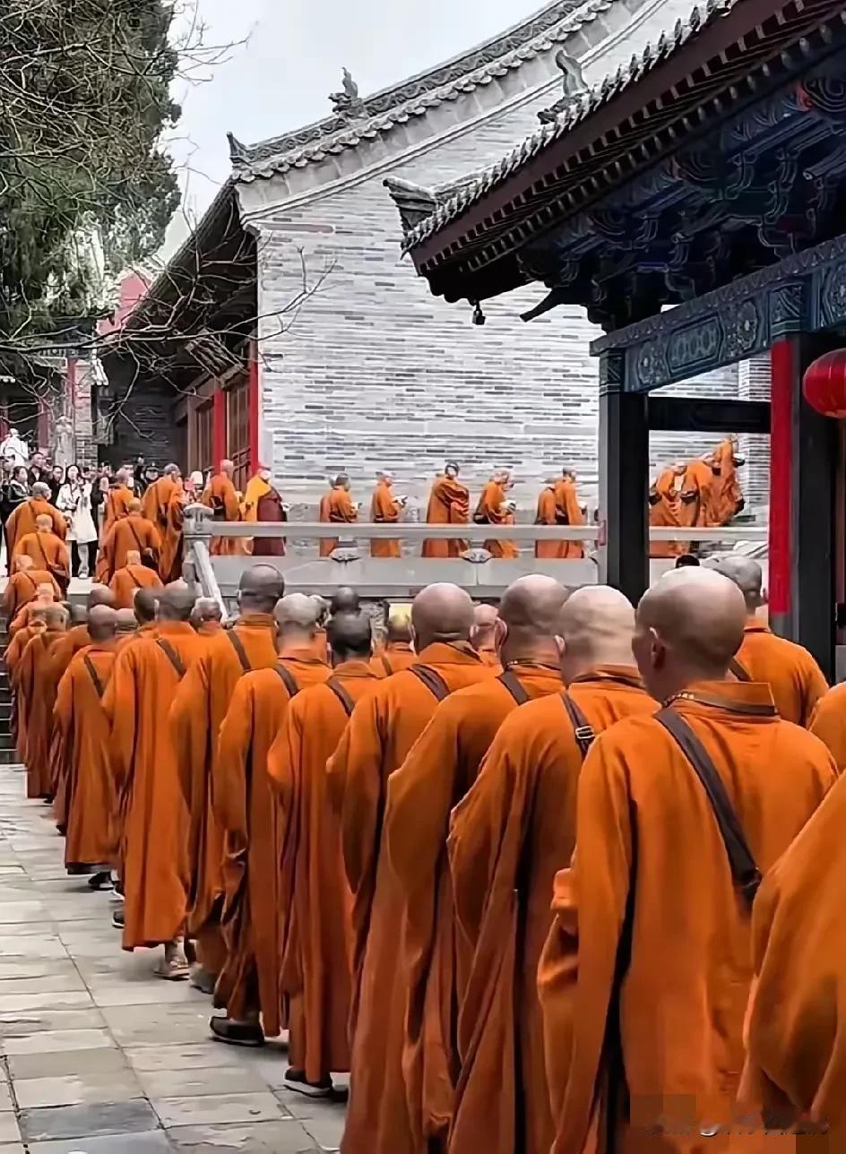 释永信倒台了，新方丈来了，这些少林寺和尚看起来才有了修行的样子。
从照片上看，和