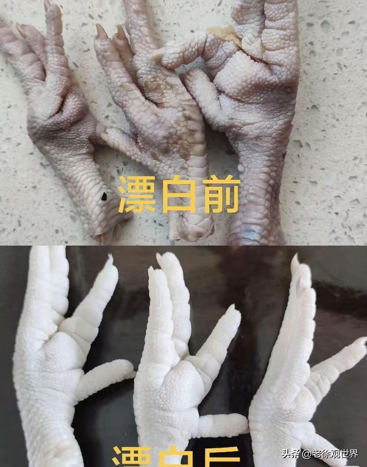 鸡爪为什么要漂白？嘴馋的小主们看看就知道了。

没有对比就没有伤害。正常的鸡爪皱