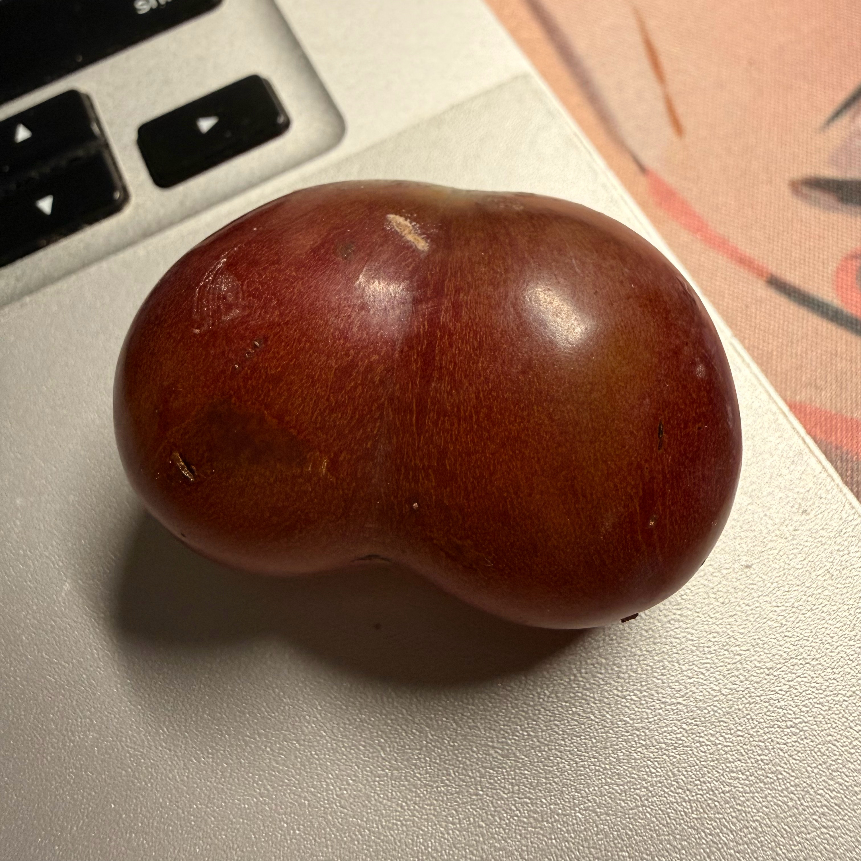 这个葡萄有点涩涩嘟🍇 ​​​