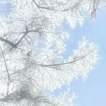 阳光信用 阳光信用每日一善 自己的人生，就要自己来经营，不要吧幸福寄托给未来，现