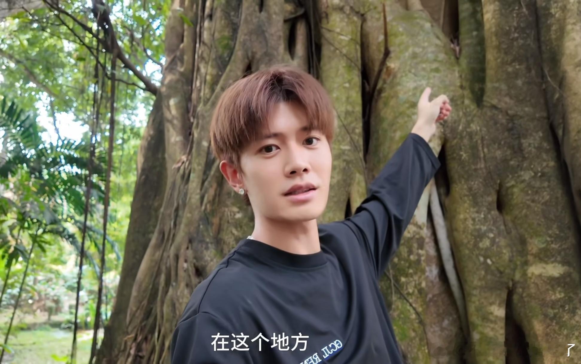 任嘉伦 🌷任嘉伦🌷༊ ⁴¹¹♡̴｡o○*ﾟ・你就像那北极星无论我走到哪里抬头