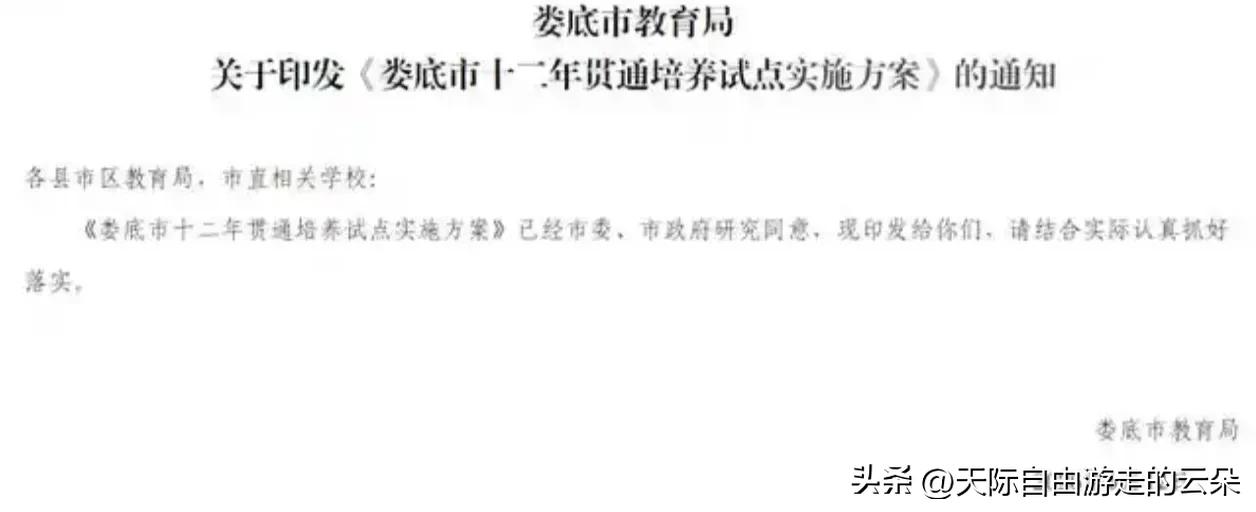 中考改革“破冰”：海岛县全员直升高中，娄底试点小学入学直通高考

当全国大多数初