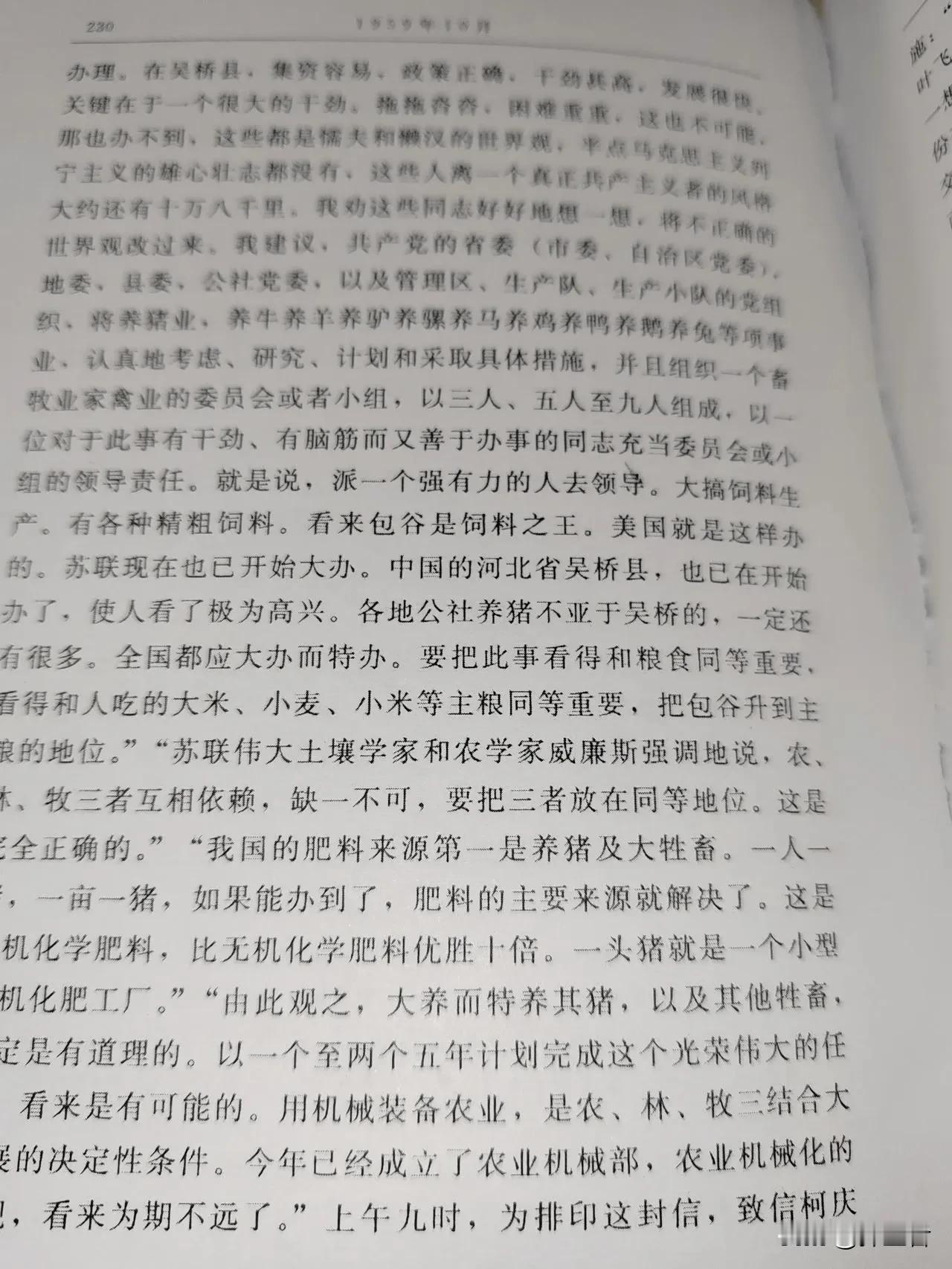 毛主席时代真的不让养猪吗？沈阳翁一伙为了诋毁毛主席时代，把那个时代说的一无是处，