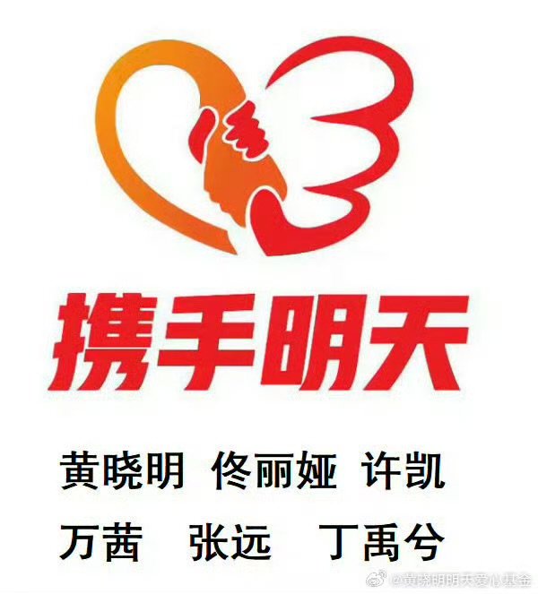 丁禹兮为香港捐款丁禹兮通过携手明天捐赠驰援香港同根同生，共度难关！山河同心，守望