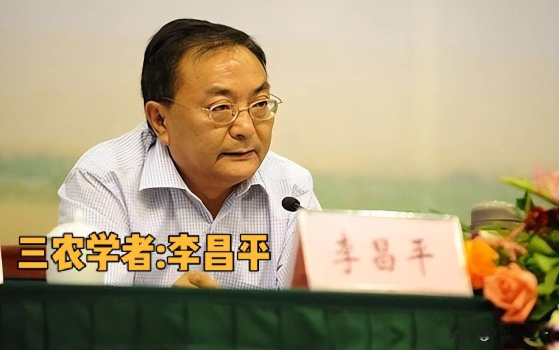 余永定说“地方账本一塌糊涂”，李昌平接了一句话

2026清华五道口首席经济学家