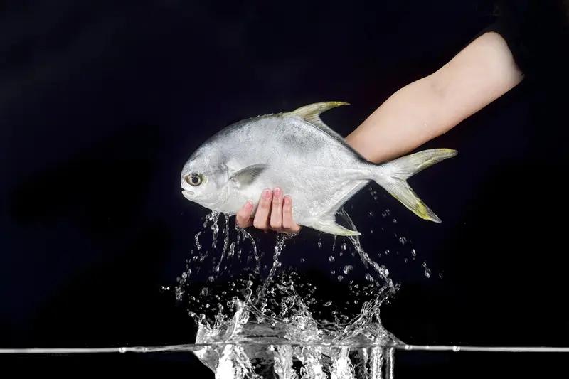 佛山“首个秋假”，三个刮鱼鳞的孩子火出圈了！11月13日，南海区大沥岐发肉菜市场