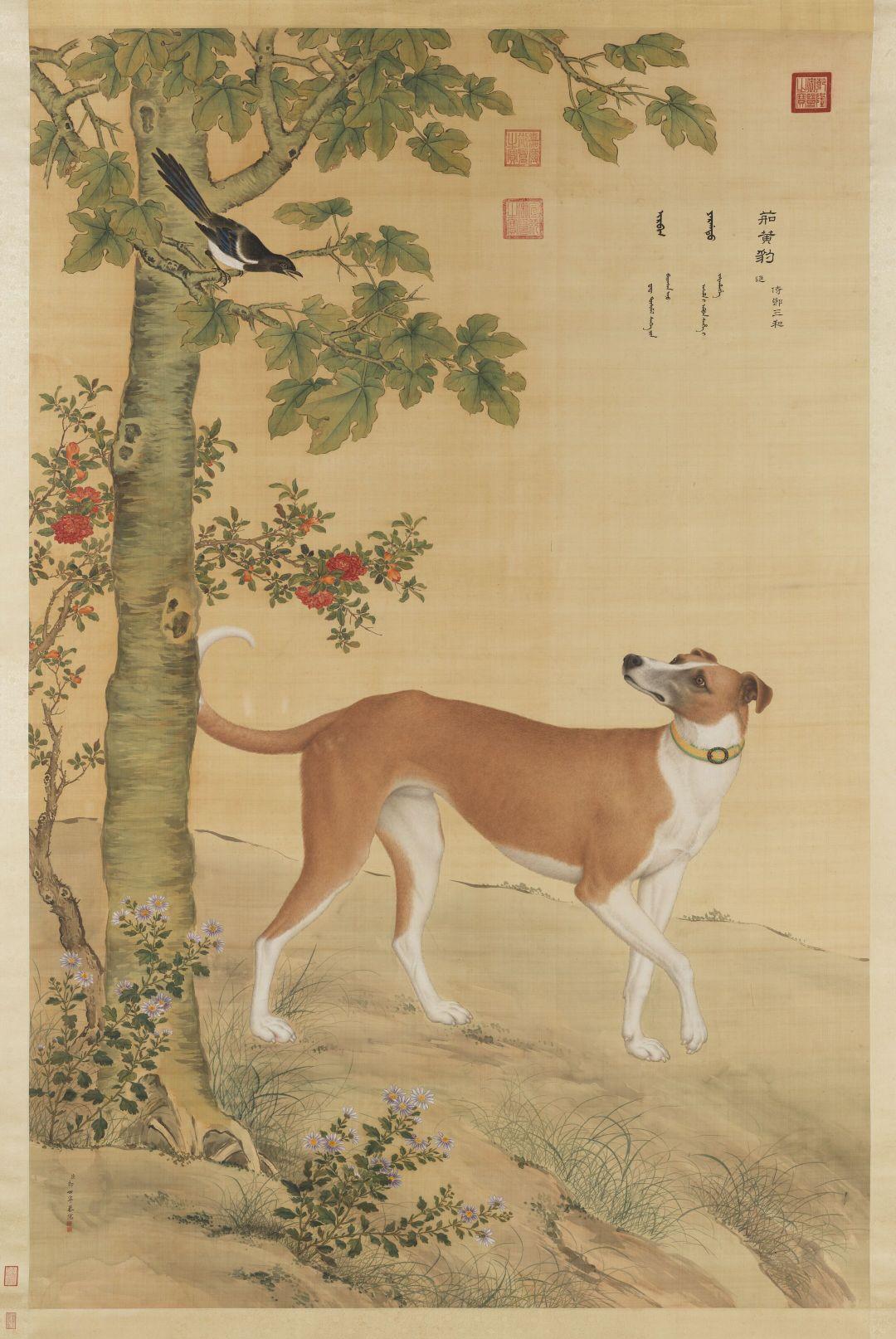 🌹赏画| 清·郎世宁《十骏犬》图 台北故宫博物院藏
该组画作以九种猎犬和一只藏