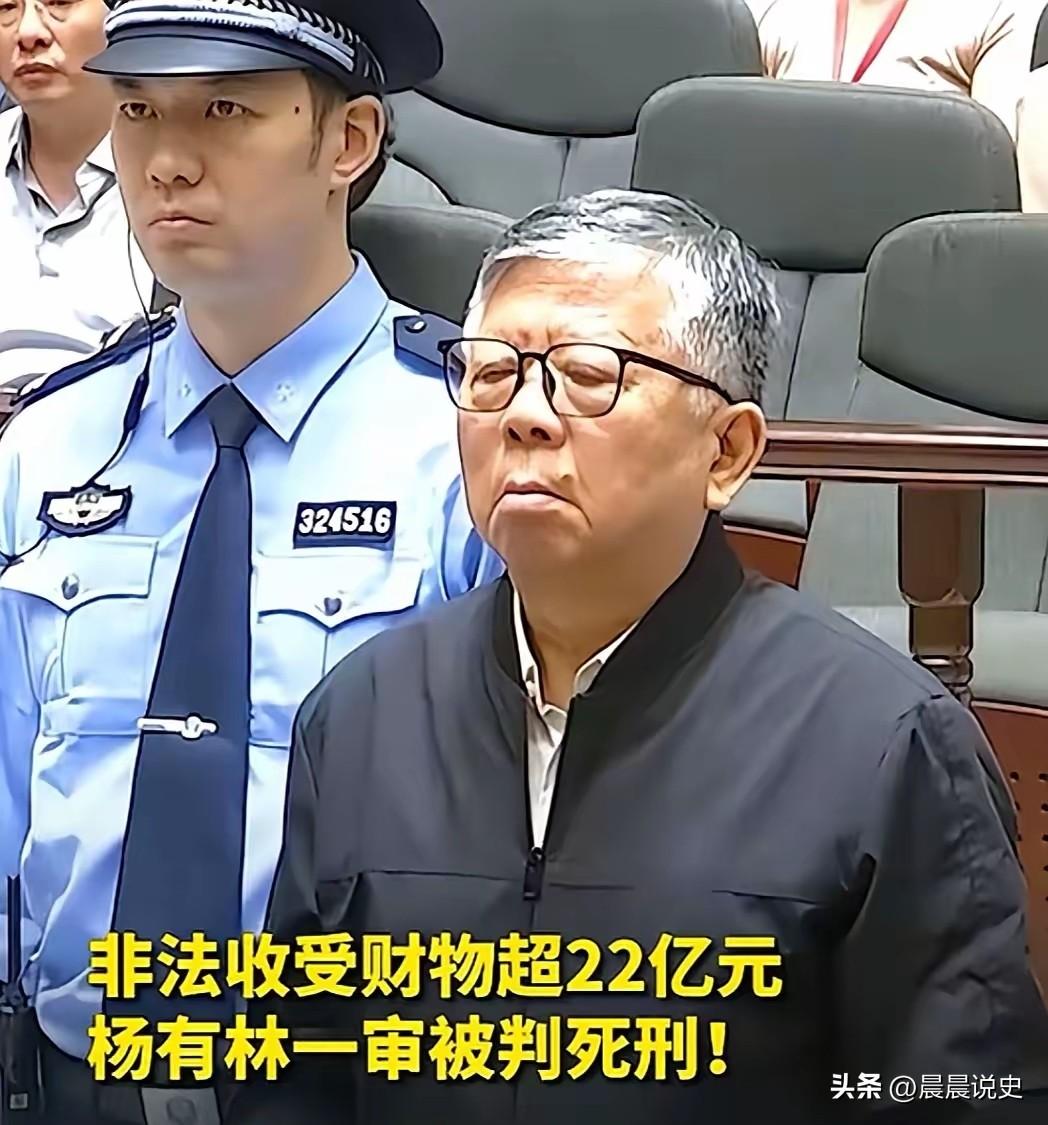职位低微却疯狂敛财22亿！杨有林十年疯狂贪腐，终获死刑大快人心
 
杨有林10年