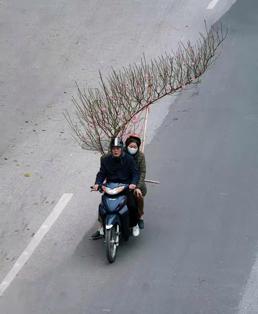 一个敢带一个敢抗啊！