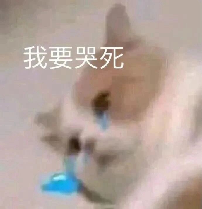 今天时间过得这么快，一天埋头苦干了快三十张头像累死我！都没蹭热搜，刚刚手忙脚乱蹭