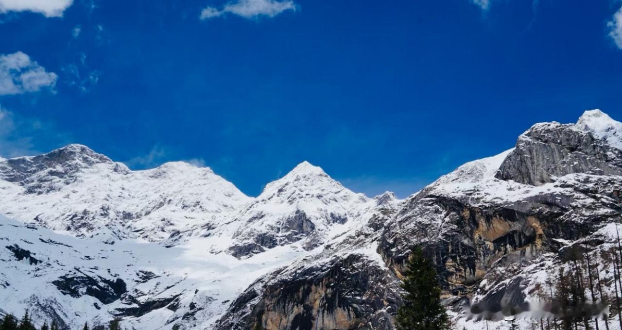 [锦鲤到来]数字是一把很冰冷的刀

2025年5月20号，我续签了港澳通行证，总