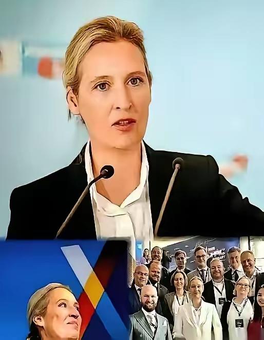 德国那些大人物，昨晚估计都没睡好。 不是咖啡喝多了，是吓的。 他们骂的那个