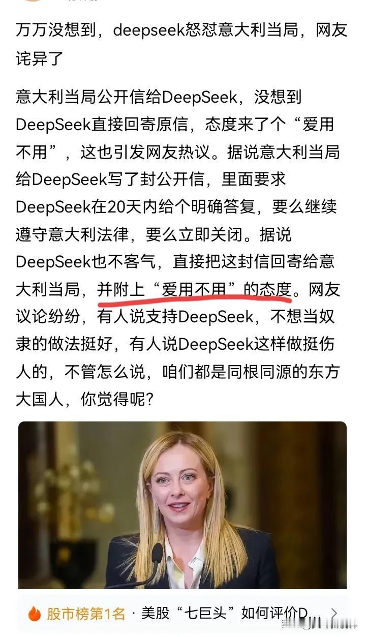 剧闻DeepSeek对意大利总理的公开信予以回应，直接回怼了回去，直接把意大利当