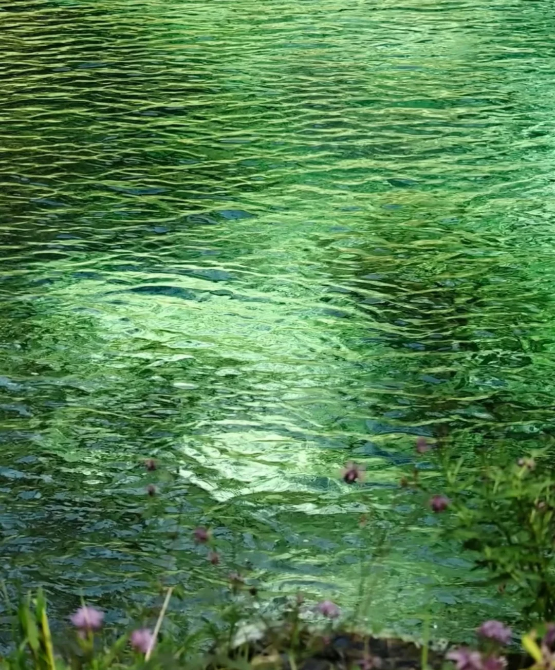 倒影在水里会流动的油画