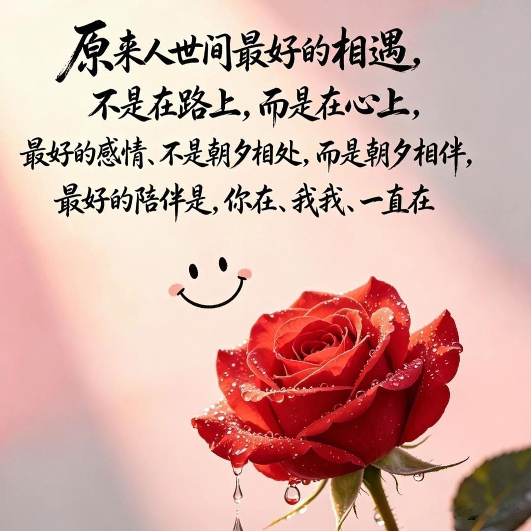 人生百态
终归注定
一丝一毫都不由自己掌控
经历时光才领悟
红尘中的相逢与告别