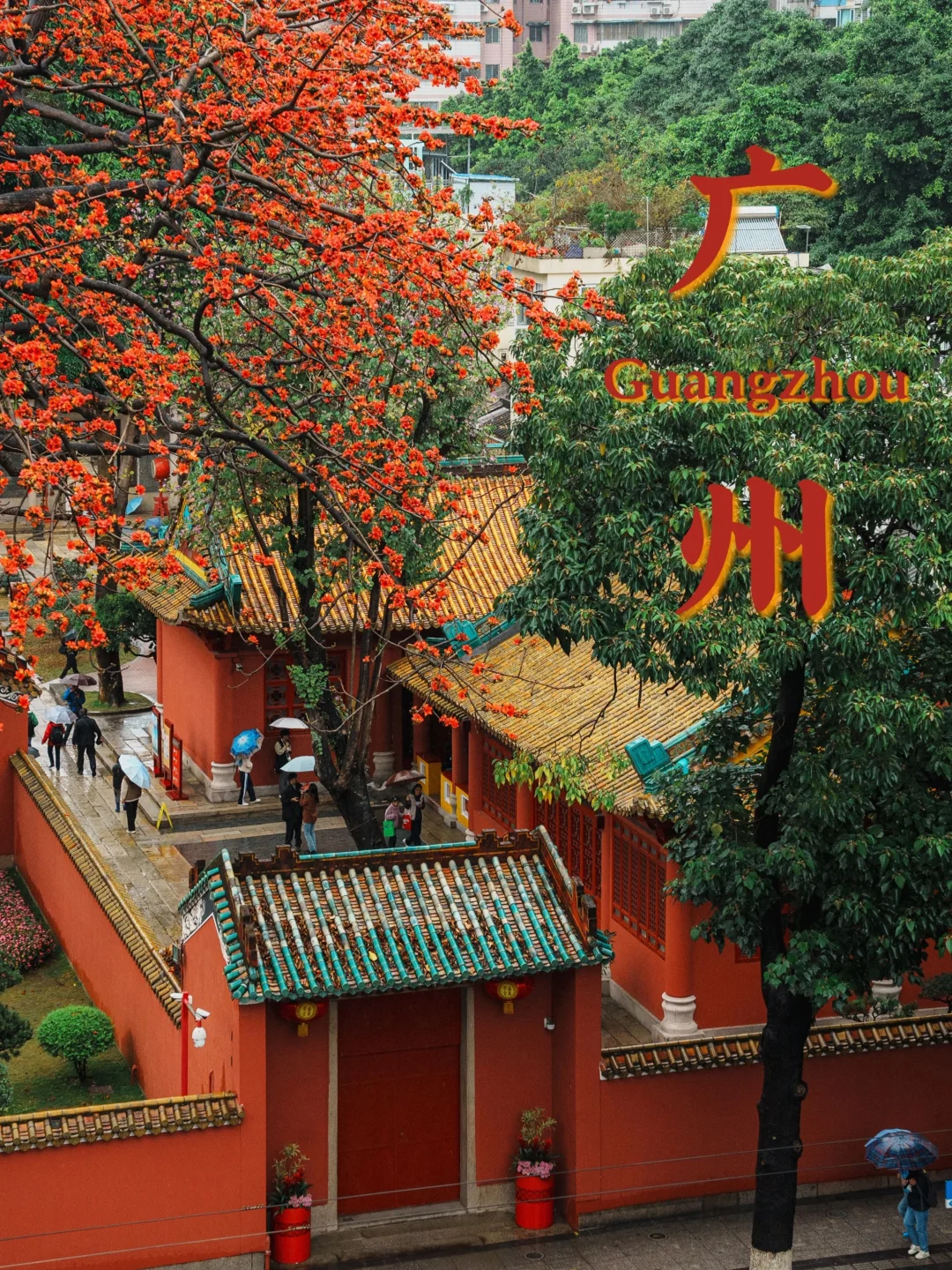 春节游广州！这5️⃣条Citywalk路线直接抄