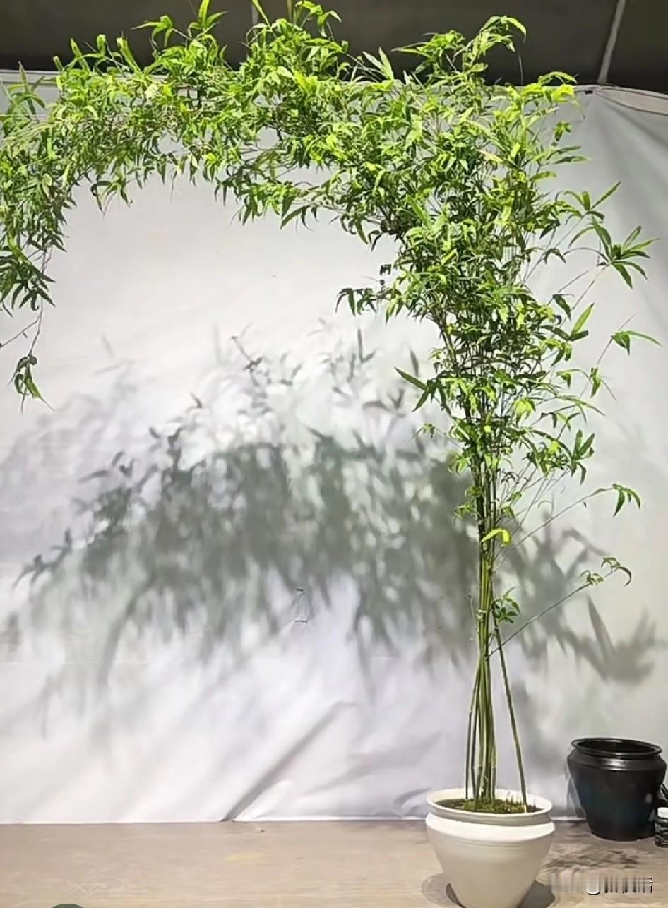 总有人告诉退休的人
你最应该做的几件事
其实就是一件事，让你成为孤家寡人
什么远