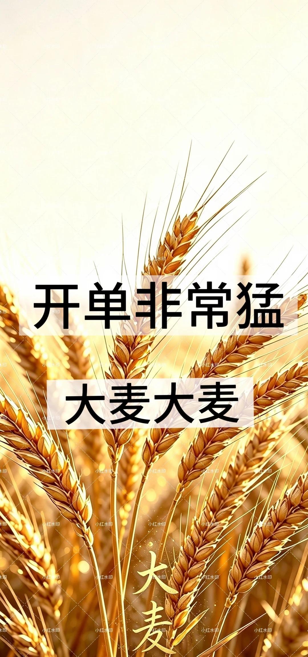 大麦壁纸，锁屏桌面成套搭
换上一套莫兰迪色系壁纸，锁屏和桌面无缝衔接，连截图都透