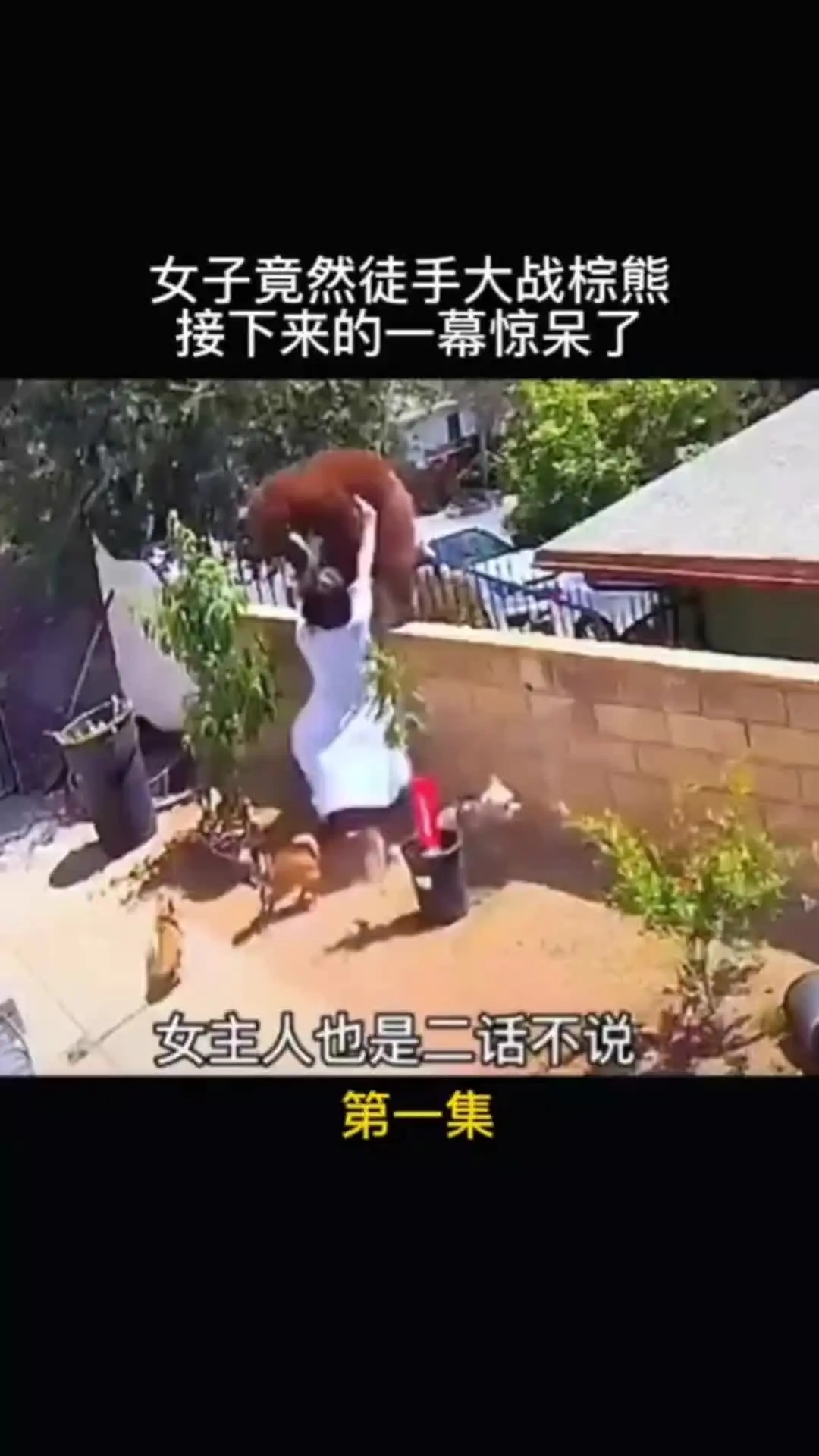 内容启发搜索 我的观影报告 动物世界 动物的迷惑行为